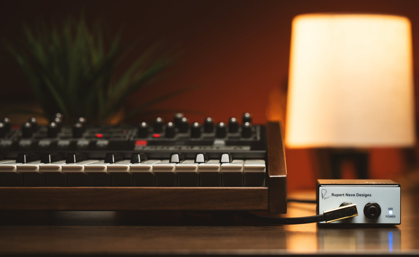 Rupert Neve Designs RNDI-M - Active Transformer Direct Interface