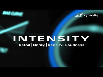 zynaptiq Intensity